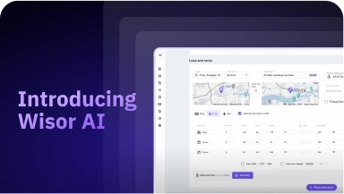 Introducing Wisor AI